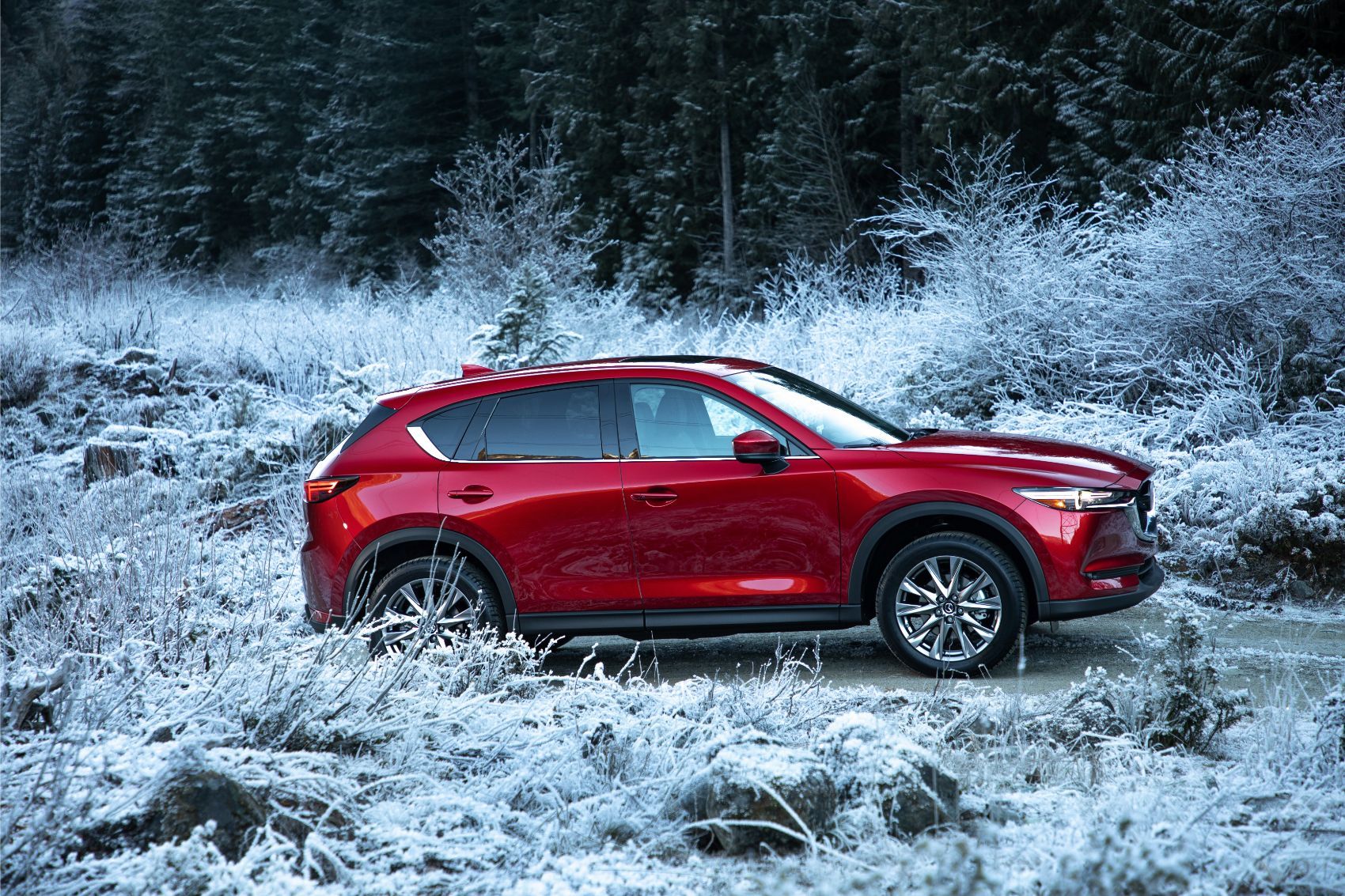 Extending your Mazda warranty can help protect your CX-5 or other Mazda vehicles.